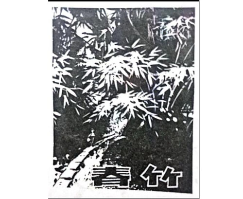公司商標(biāo)_青島紡聯(lián)集團進出口有限公司